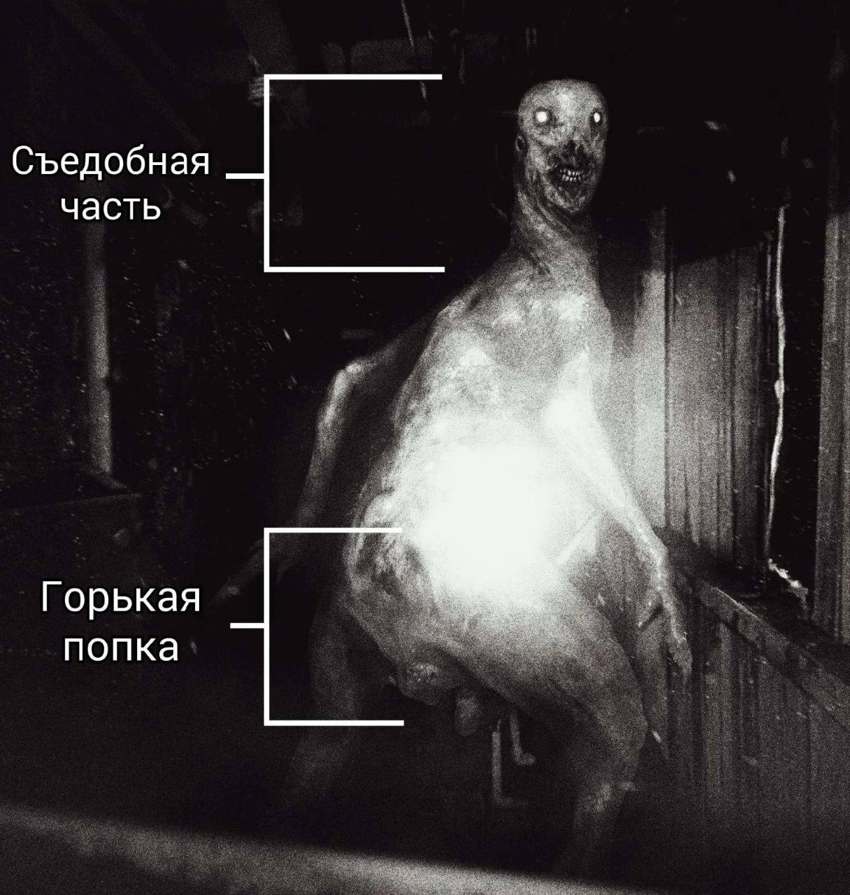 Съедобная часть Горькая попка