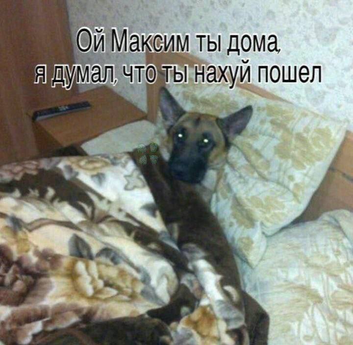 Максим ты дома, думал, нахуй пошел