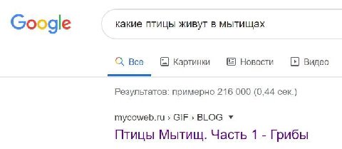 какие птицы живут в мытищах Google Все Картинки Новости Видео Результатов: примерно 216 000 (0,44 сек.) mycoweb.ru GIF» BLOG Птицы Мытищ. Часть 1 Грибы