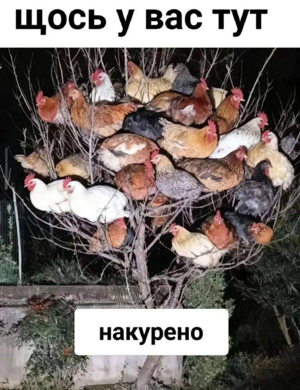 вас тут накурено