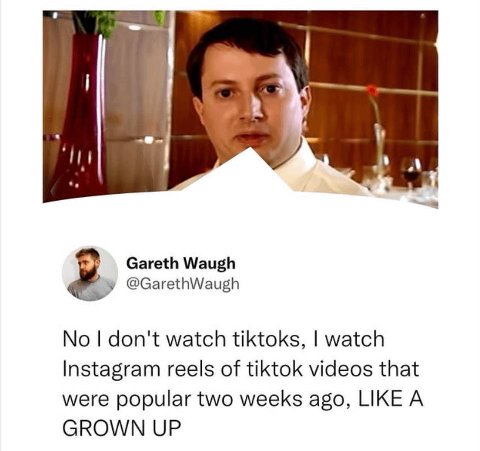 и Gareth Waugh у @GarethWaugh don't watch tiktoks, watch Instagram reels of tiktok videos that were popular two weeks ago, LIKE A GROWN UP