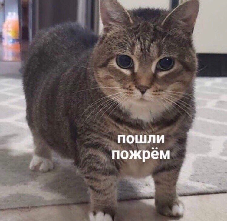 пошли пожрем