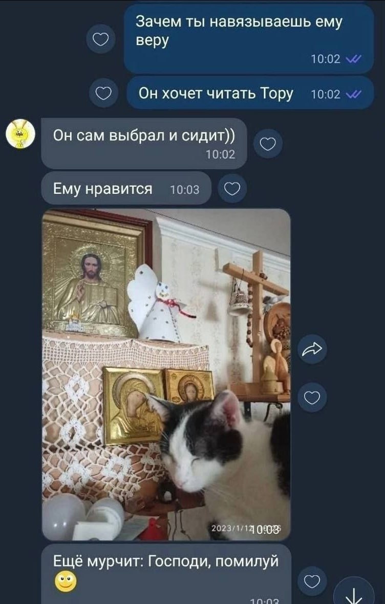 Зачем ты навязываешь ему веру Он хочет читать Тору Он сам выбрал и сидит)) Ему нравится 1 Las Ещё мурчит: Господи, помилуй