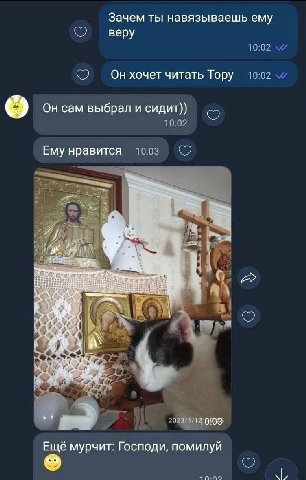 Зачем ты навязываешь ему веру Он хочет читать Тору Он сам выбрал и сидит)) Ему нравится 1 Las Ещё мурчит: Господи, помилуй