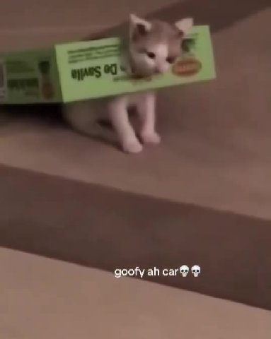 мем