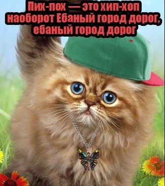 ПИХ-ПОХ ХИП-ХОП наоборот Ебаный город дорог, ебаный город Aopol a 2 4 £7. у у A
