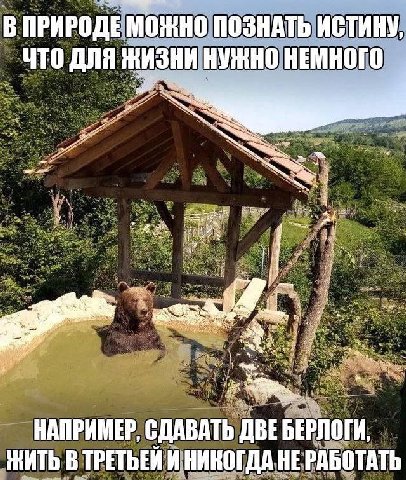 В ПРИРОДЕ МОЖНО ПОЗНАТЬ ИСТИНУ, ЧТО ДЛЯ ЖИЗНИ НУЖНО НЕМНОГО НАПРИМЕР, СДАВАТЬ ДВЕБЕРЛОГИ, НИТЬ В ТРЕТЬЕИ И НИКОГДА НЕ РАБОТАТЬ