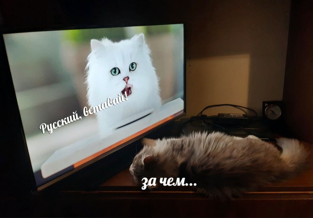 за чем...