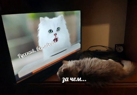 за чем...