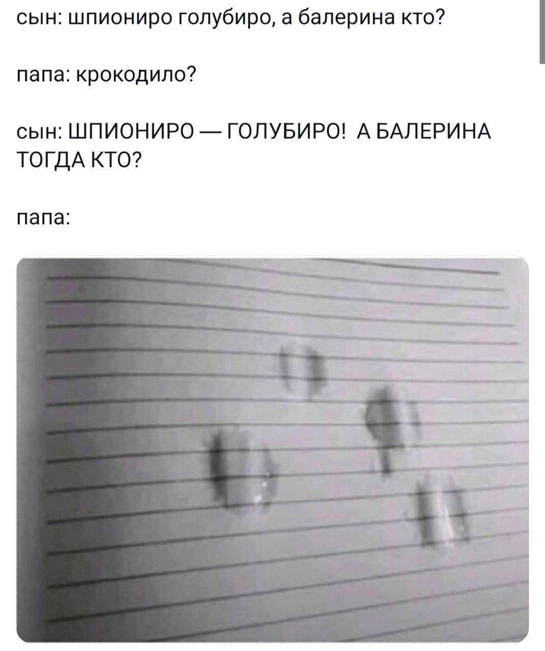 сын: шпиониро голубиро, а балерина кто? папа: крокодило? сын: ШПИОНИРО ГОЛУБИРО! А БАЛЕРИНА ТОГДА КТО? папа: