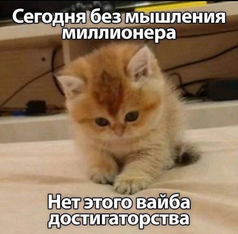 Сегодня без мышления миллионера Нет этого вайба достигаторства