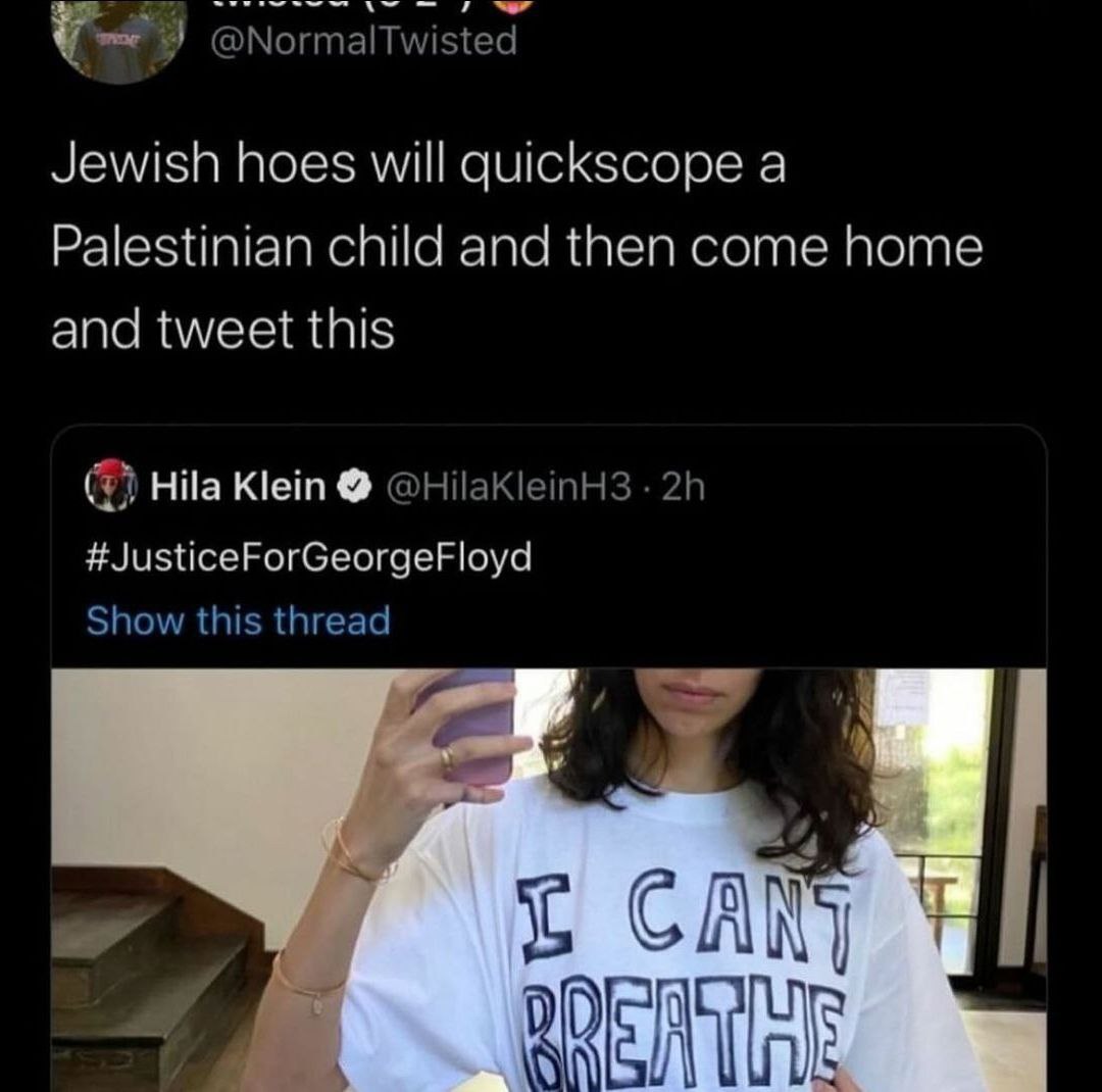@Normaltwisted Jewish hoes will quickscope a Palestinian child and then come home and tweet this Hila Klein @HilaKleinH3 #JusticeForGeorgeFloyd Show this thread у 4 у