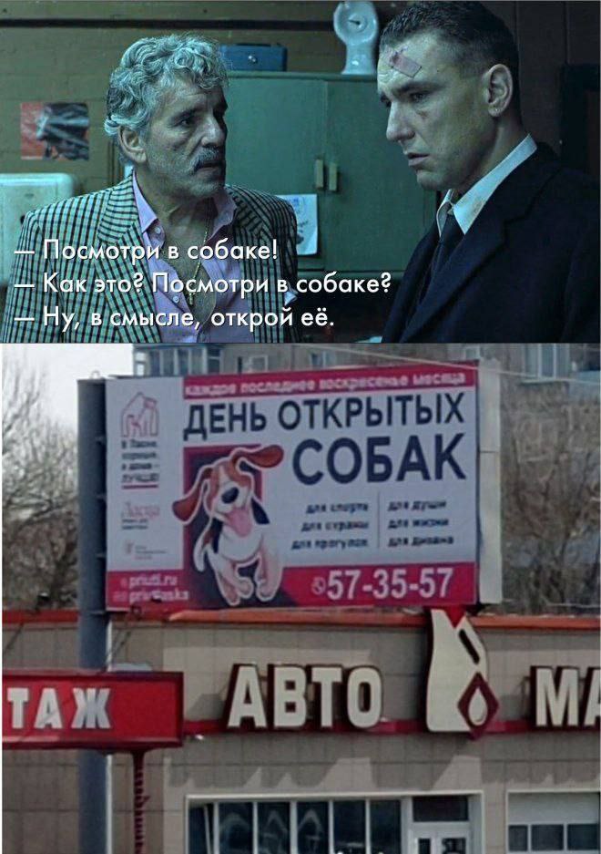 Посмотри в собаке! Как это? Посмотри в собаке? Ну, в смысле, открой её.
