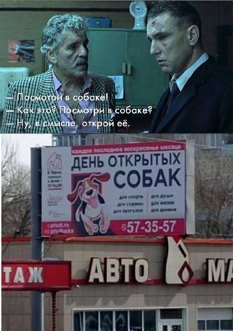 Посмотри в собаке! Как это? Посмотри в собаке? Ну, в смысле, открой её.