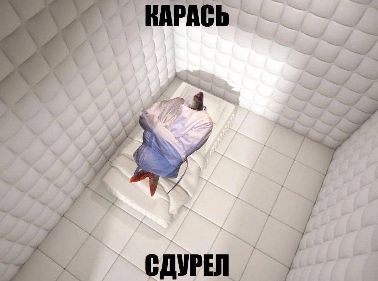 KAPACh я 4 2; a 4 у a 3 к. СДУРЕЛ 4