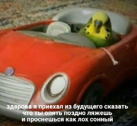 здарова я приехал из будущего сказать что ты опять поздно ляжешь и проснешься как лох сонный