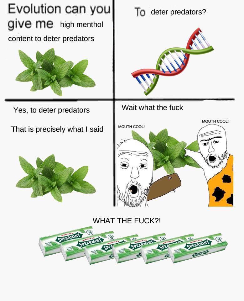 Evolution can you To deter predators? give high menthol content to deter predators Yes, to deter predators Wait what the fuck MOUTH COOL! MOUTH COOL! That is precisely what said 4 a. a. WHAT THE FUCK?