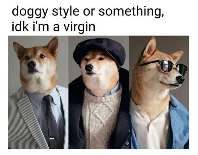 doggy style or something, idk a virgin а
