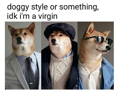 doggy style or something, idk a virgin а