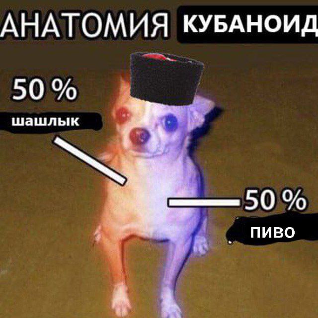 АНАТОМ КУБАНОИД 50 шашлык ПИВО