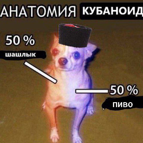 АНАТОМ КУБАНОИД 50 шашлык ПИВО