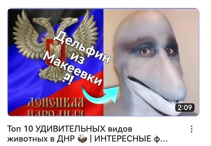 52 4 [7 Sky Топ 10 УДИВИТЕЛЬНЫХ видов животных в ДНР ИНТЕРЕСНЫЕ