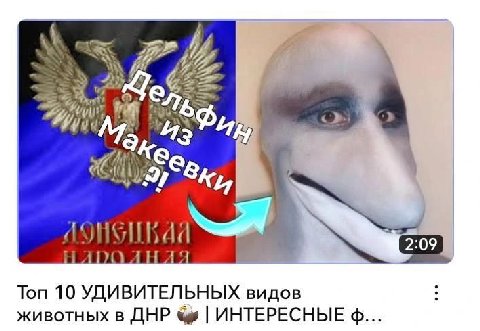 52 4 [7 Sky Топ 10 УДИВИТЕЛЬНЫХ видов животных в ДНР ИНТЕРЕСНЫЕ