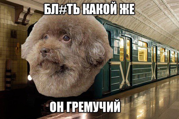 КАКОЙ ЖЕ i a ОНГРЕМУЧИЙ