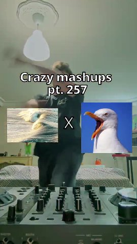 Crazy mashups