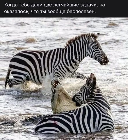 Когда тебе дали две легчайшие задачи, но оказалось, что ты вообще бесполезен.