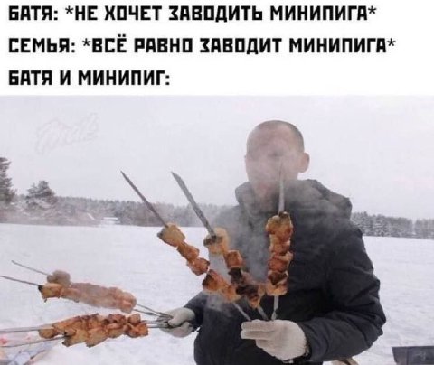 БАТЯ: *НЕ ХОЧЕТ ЗАВОДИТЬ МИНИПИГА* СЕМЬЯ: *BCE РАВНО ЗАВОДИТ МИНИПИГА* БАТЯ И МИНИПИГ: a