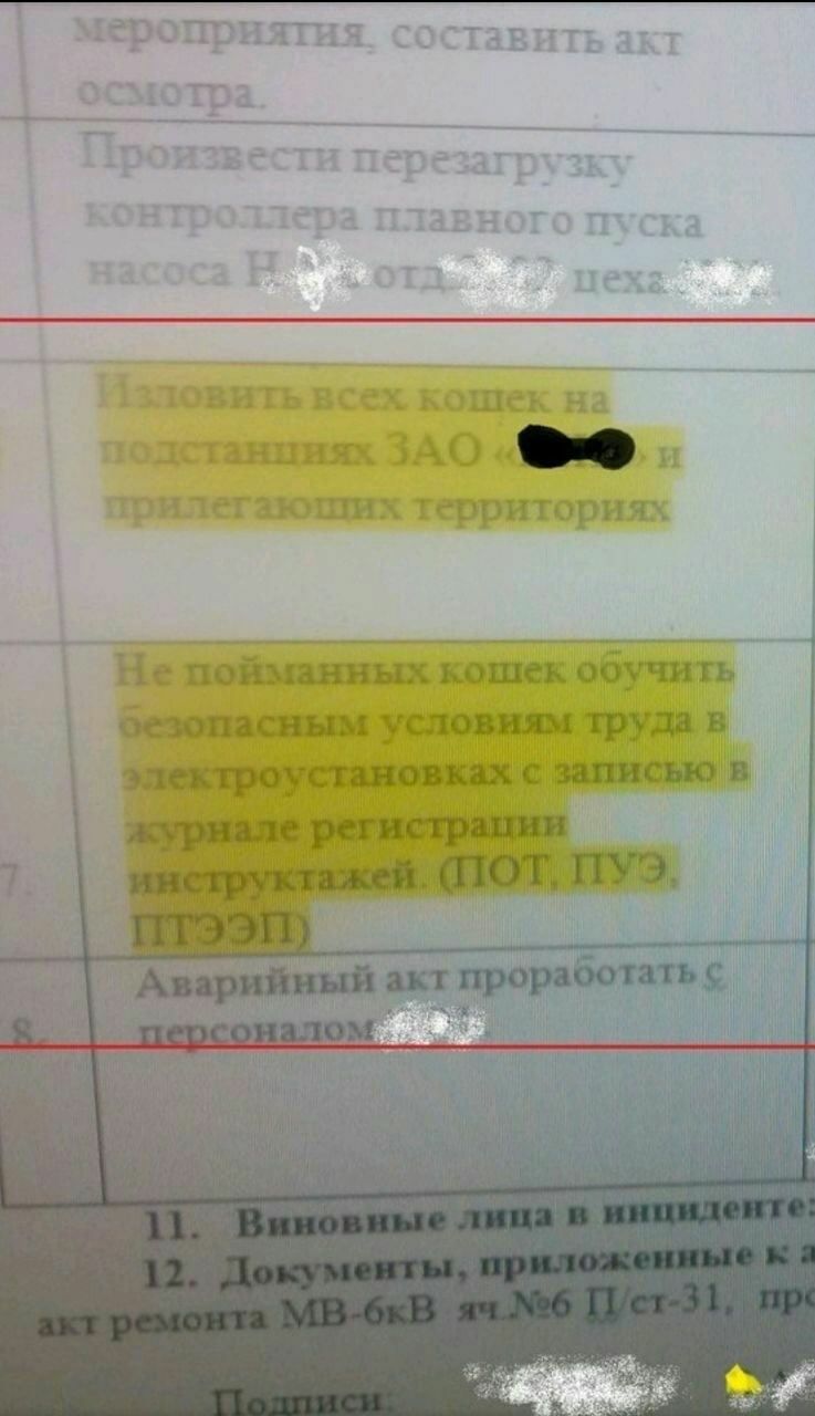 составитьакт осмотра перезагрузь контроллера плавного пуска Изловить всех. кошек на ЗАО и территориях Непойманных кошек обучить Hii} ектроустановках с за i we акт проработатьс a a