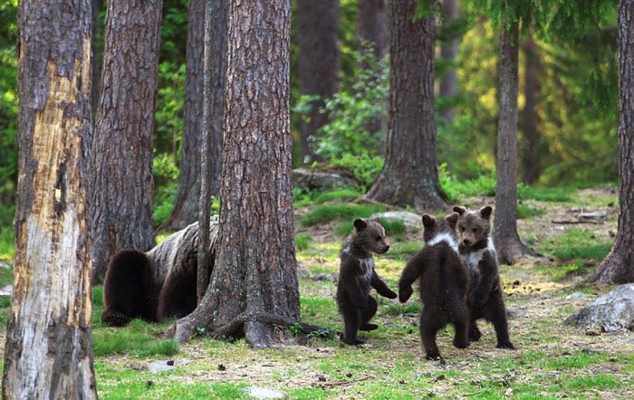 4 i i i Я At 1 у у 4 с 4 к, У, Soa an
