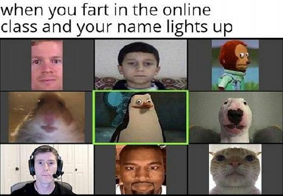 when you fart in the online class and your name lights up