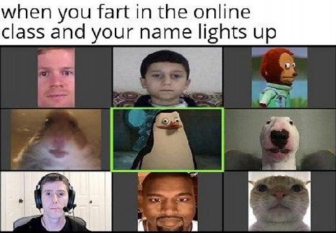 when you fart in the online class and your name lights up