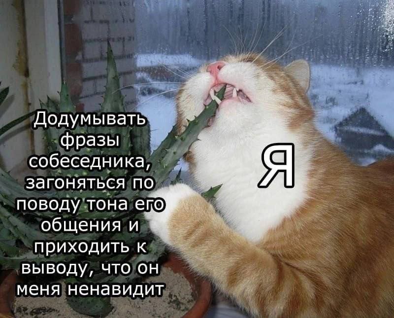 Додумывать фразы собеседника, а загоняться по поводу тона епо общения и приходить к выводу, что он меня ненавидит