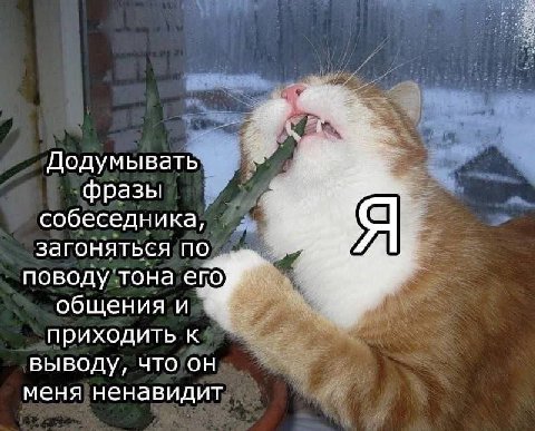 Додумывать фразы собеседника, а загоняться по поводу тона епо общения и приходить к выводу, что он меня ненавидит