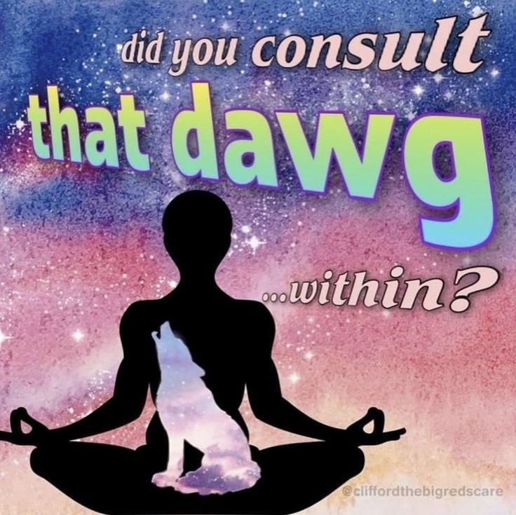you consul a