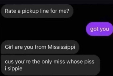 Rate a pickup line for me? Girl are you from Mississippi cus you're the only miss whose piss i sippie