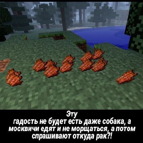 Эту гадость не будет есть даже собака, а москвичи едят и не морщаться, а потом спрашивают откуда рак?!