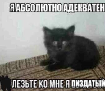 НАБСОЛ A ЛЕЗЬТЕ МНЕ Я ПИЗДАТЫМ