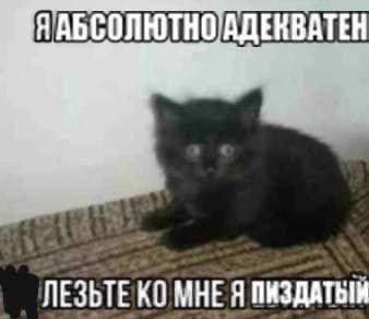 НАБСОЛ A ЛЕЗЬТЕ МНЕ Я ПИЗДАТЫМ