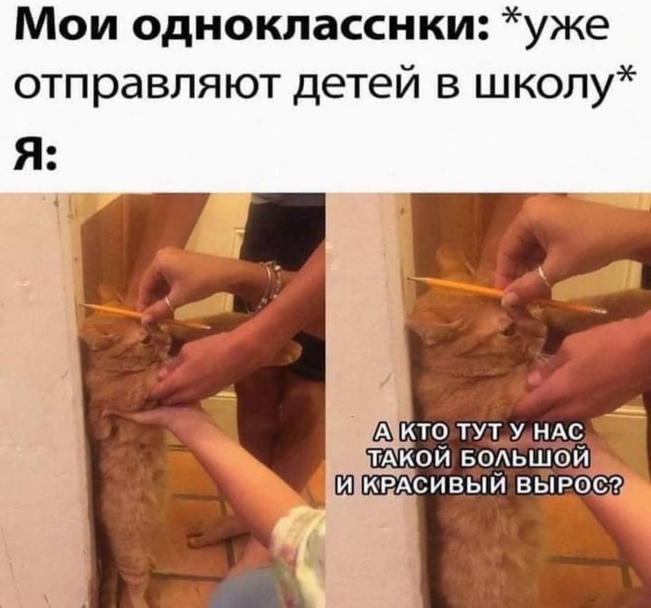 Мои однокласснки: *уже отправляют детей в школу* Я $1 ТУТ ТАКОЙ БОЛЬШОЙ! ИКРАСИВЫЙ