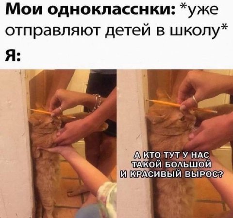 Мои однокласснки: *уже отправляют детей в школу* Я $1 ТУТ ТАКОЙ БОЛЬШОЙ! ИКРАСИВЫЙ