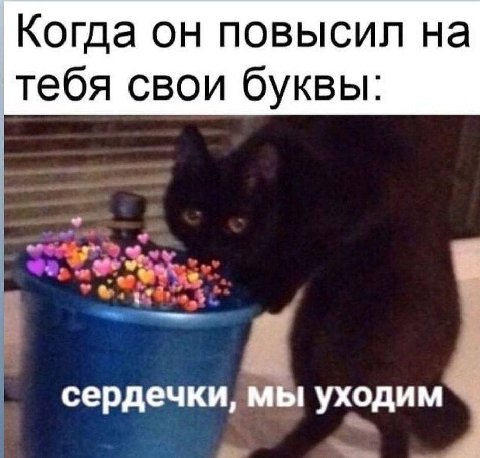 Когда он повысил на тебя свои буквы: сердечки, мы уходим