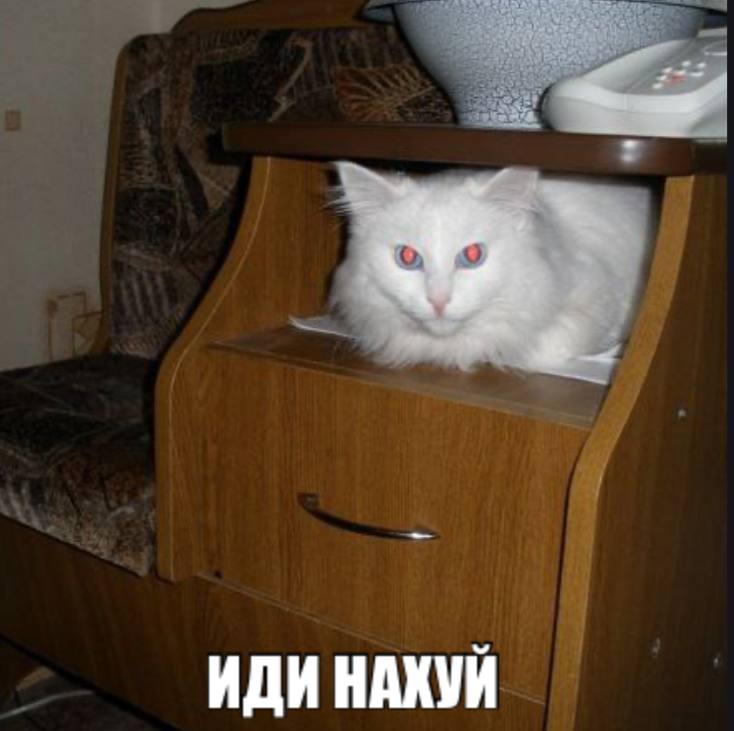 ИДИ НАХУЙ