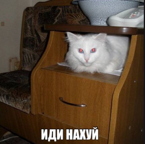 ИДИ НАХУЙ