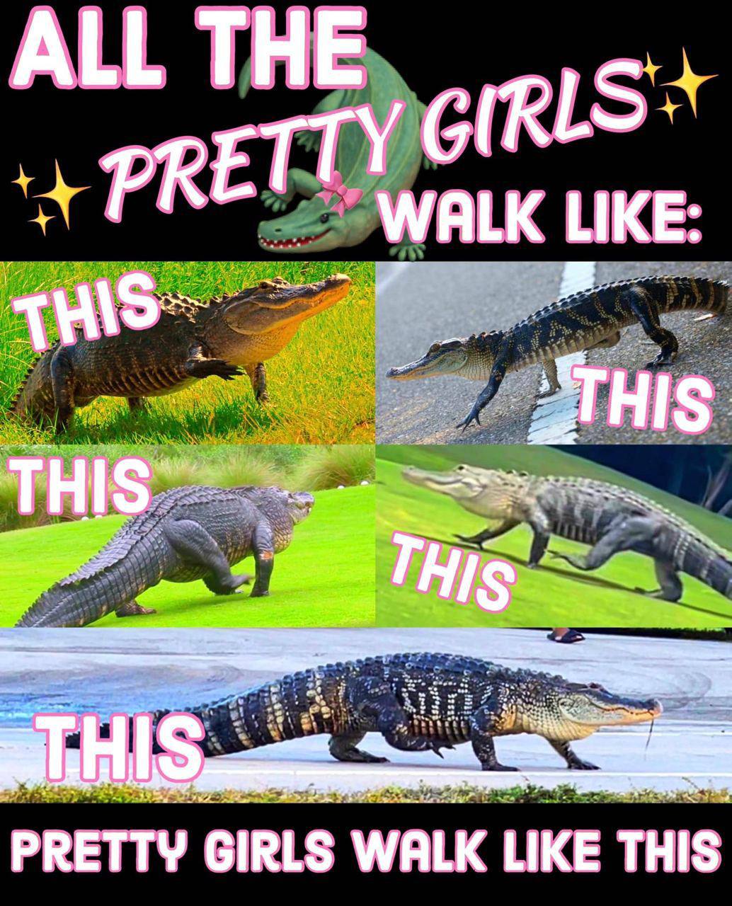 ALL THE PRETTY WALK LIKE: PRETTY GIRLS WALK LIKE THIS