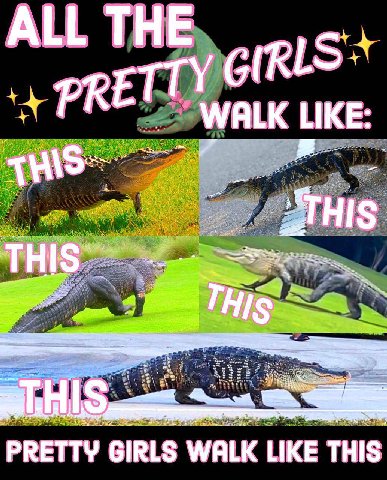 ALL THE PRETTY WALK LIKE: PRETTY GIRLS WALK LIKE THIS