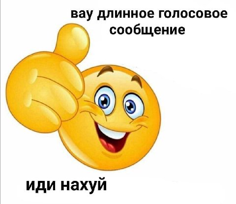вау длинное голосовое сообщение иди нахуй